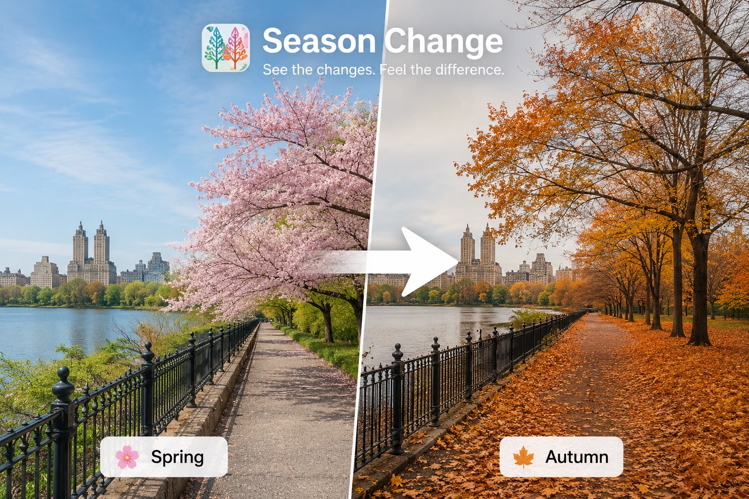 Spring to Autumn Look